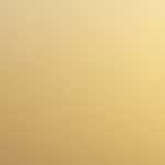 イン・ザ・コム ニュースレター9・10月号